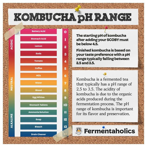 Kombucha pH Test Strips Fermentaholics 15ft Roll 180 1‑inch Strips-6
